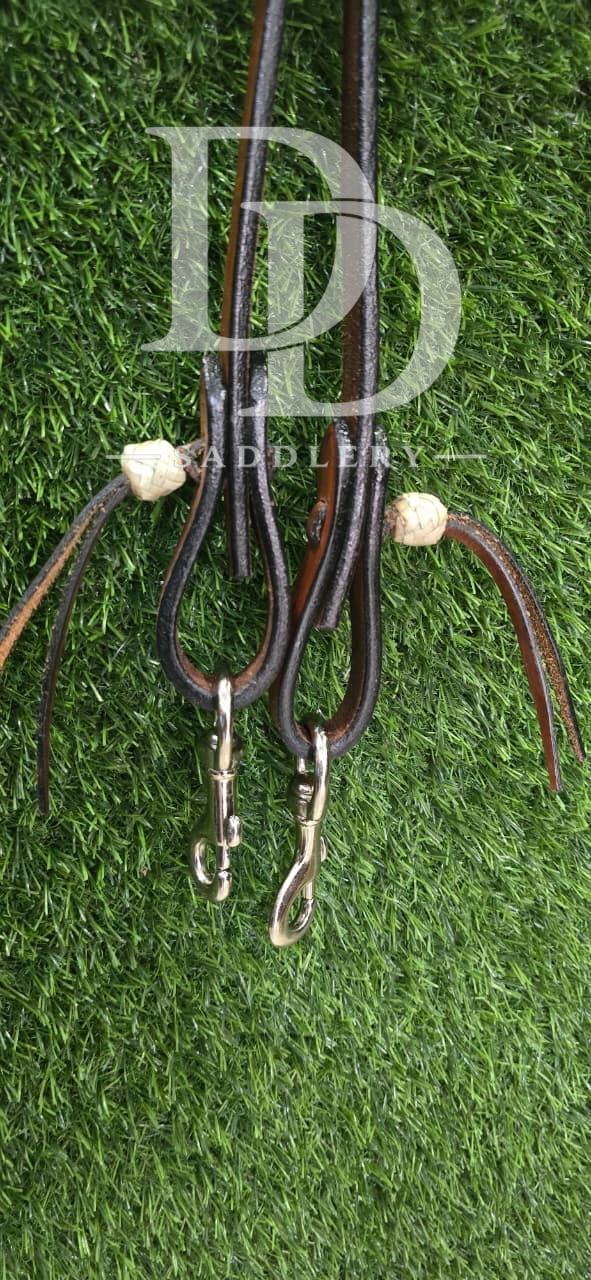 REINS 6